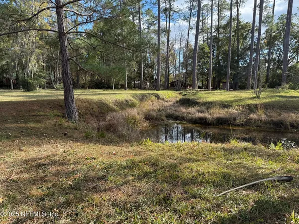 a view of a yard with plants and trees