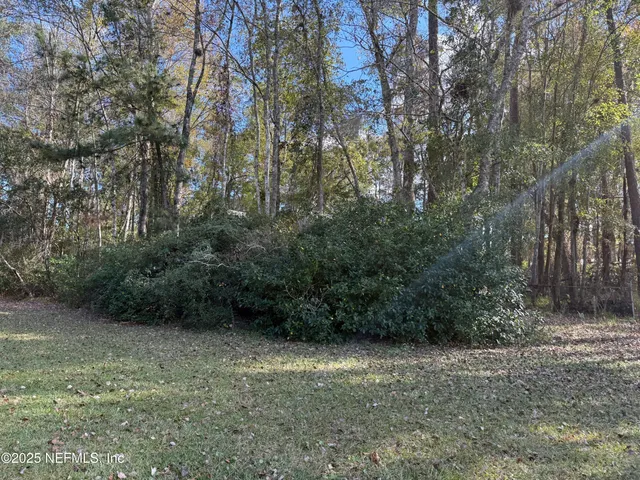 a view of a field with trees in the background