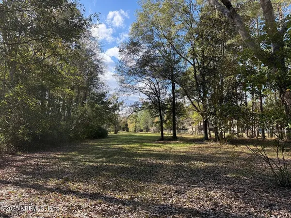 a big yard with trees