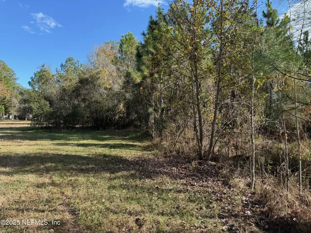 a view of a yard with large trees