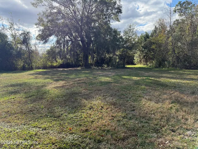 a view of dirt field with trees