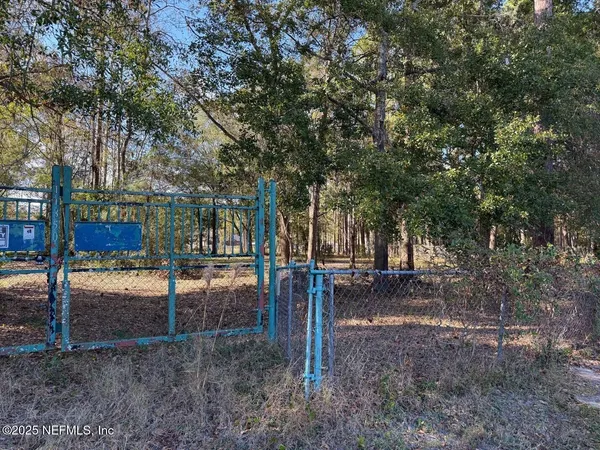 a view of a backyard with trees