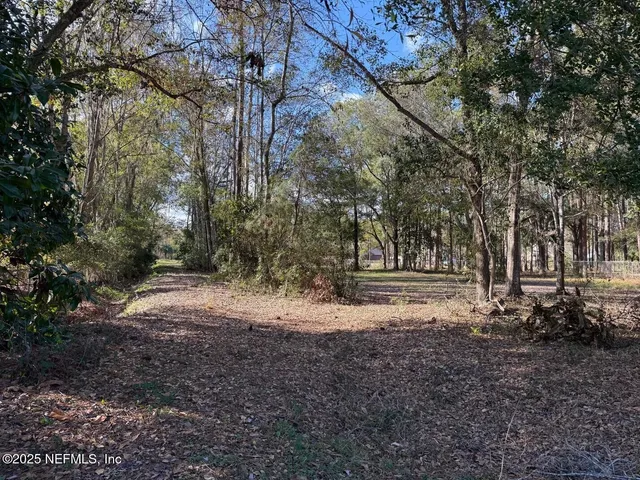 a view of a yard with plants and trees