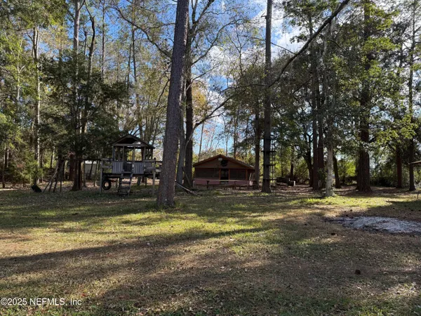 a view of a yard with a tree