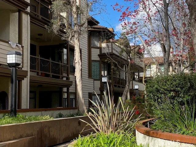 a view of a house with a small yard and large tree