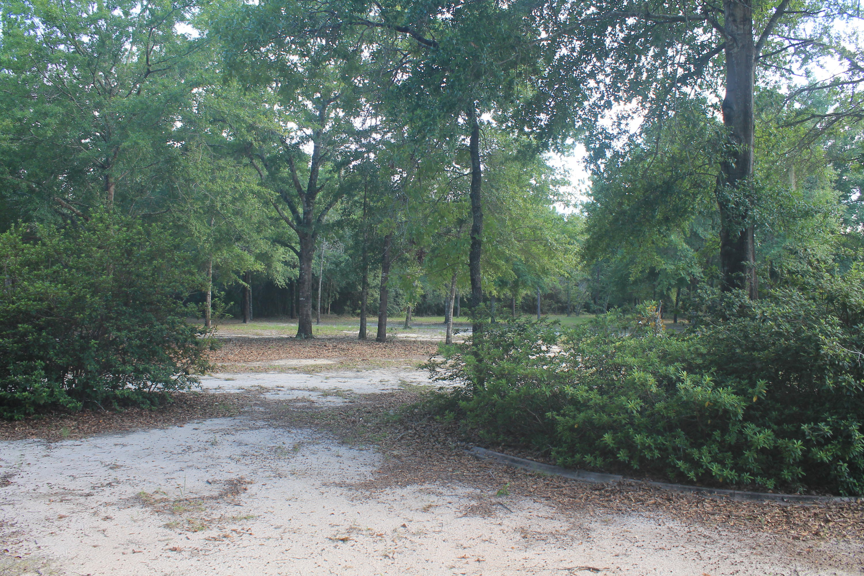 5876 Ward Ranch Road Crestview, FL 32536 - Photo 12 of 50 a view of a forest with trees in the background