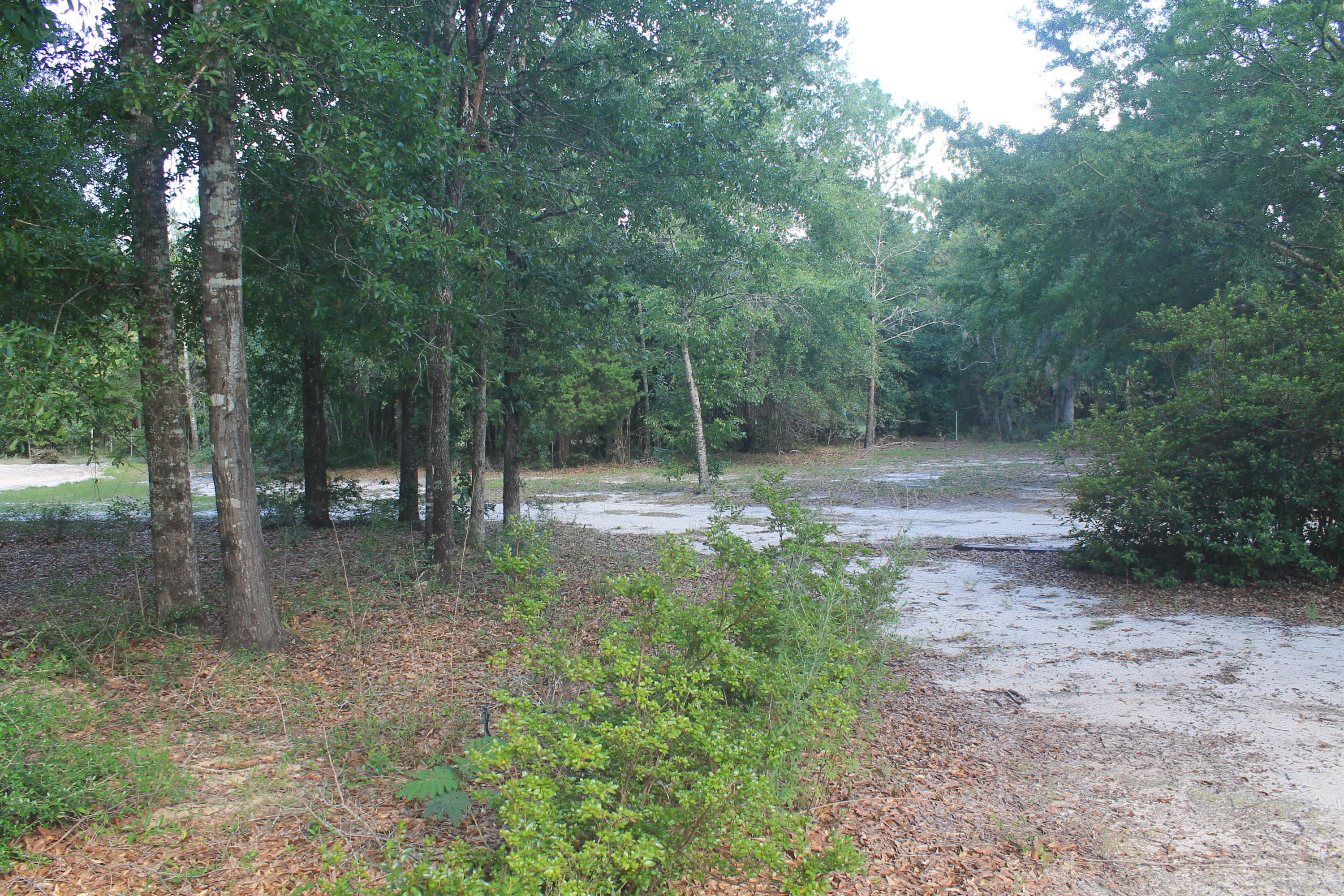 5876 Ward Ranch Road Crestview, FL 32536 - Photo 13 of 50 a backyard of a house with lots of green space