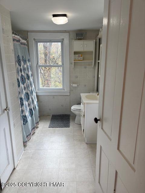 207 Munch Drive Henryville, PA 18332 - Photo 22 of 43 a bathroom with a sink a toilet and a shower