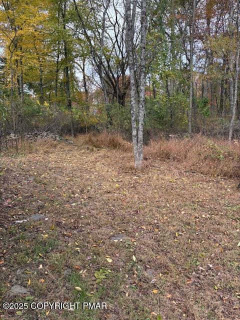 207 Munch Drive Henryville, PA 18332 - Photo 36 of 43 a view of a yard with trees