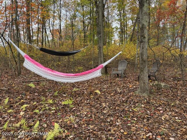207 Munch Drive Henryville, PA 18332 - Photo 40 of 43 a view of a bench in a backyard
