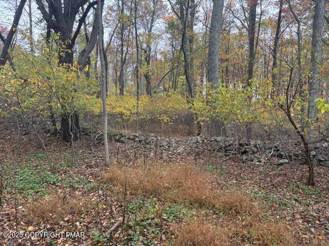 207 Munch Drive Henryville, PA 18332 - Photo 41 of 43 a view of a yard with trees