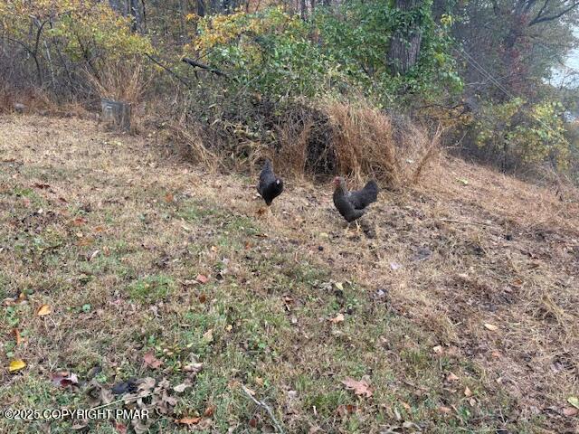 207 Munch Drive Henryville, PA 18332 - Photo 42 of 43 a view of a dry yard with wooden fence