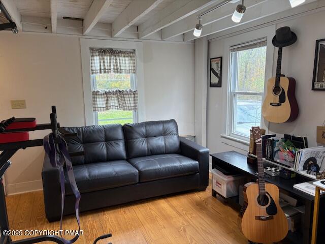 207 Munch Drive Henryville, PA 18332 - Photo 8 of 43 a living room with furniture