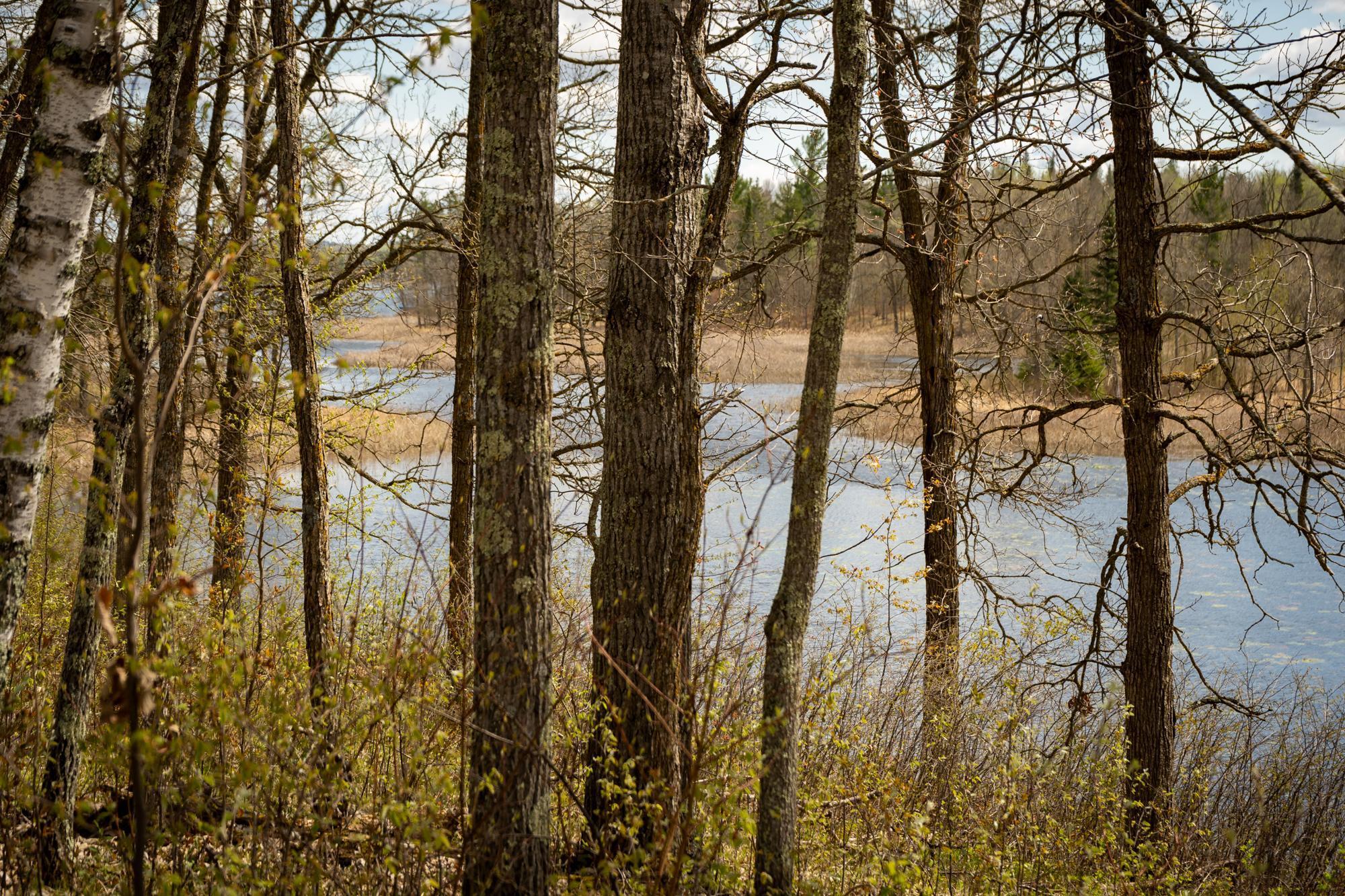 Tract A Brietbach Road Park Rapids, MN 56470 - Photo 2 of 16