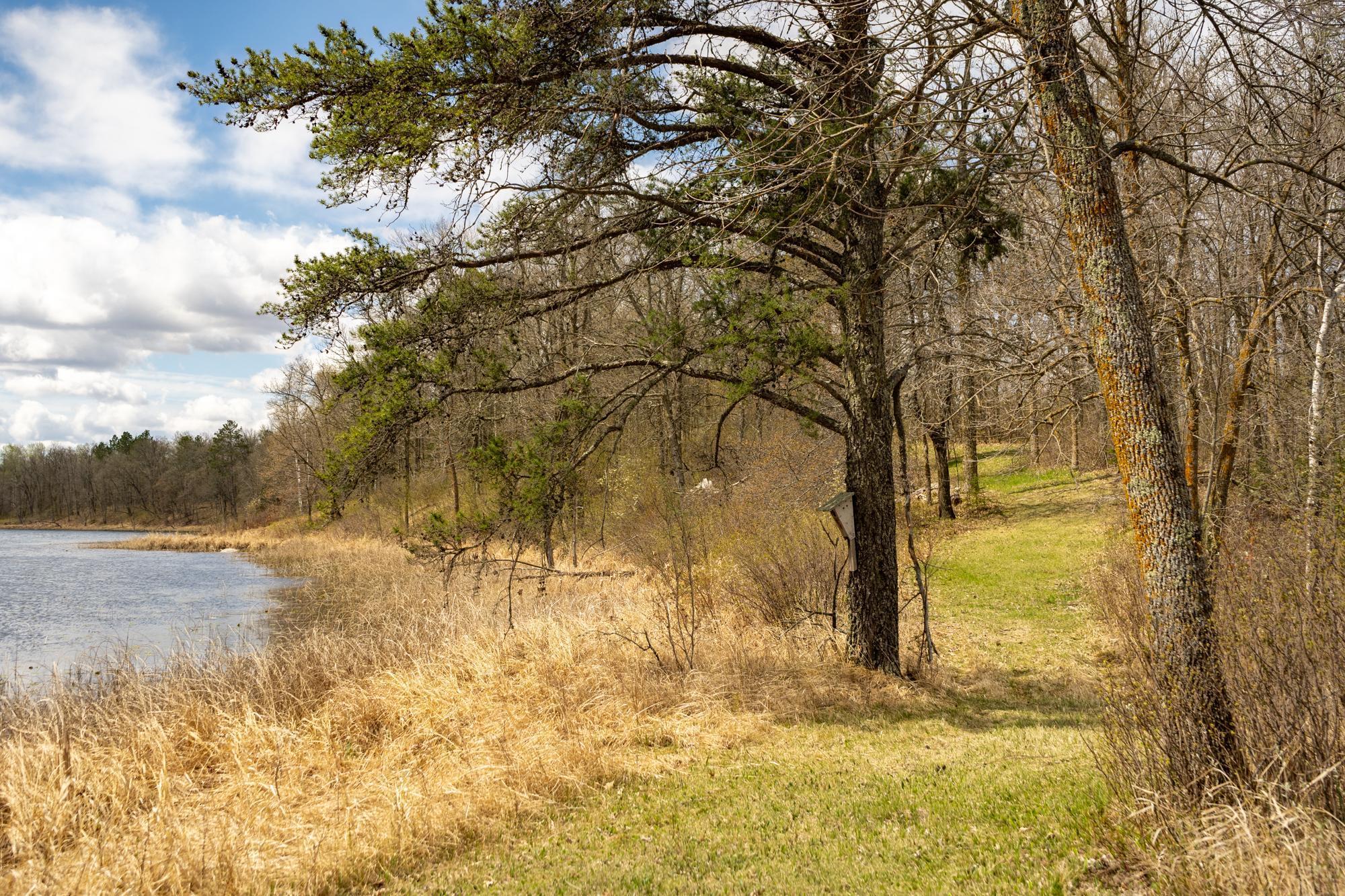 Tract A Brietbach Road Park Rapids, MN 56470 - Photo 3 of 16