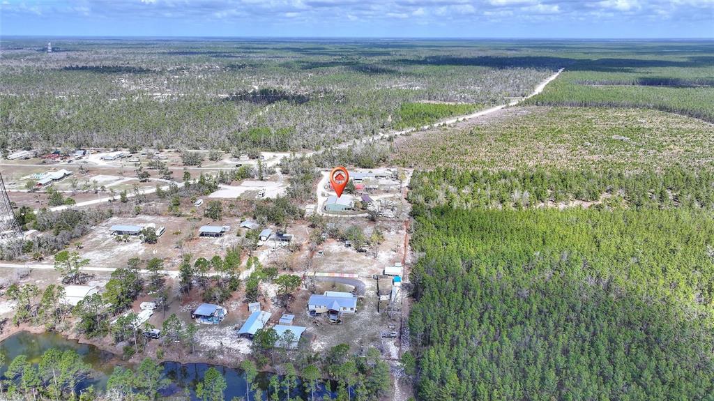 19550 Jody Morgan Road Perry, FL 32348 - Photo 23 of 79