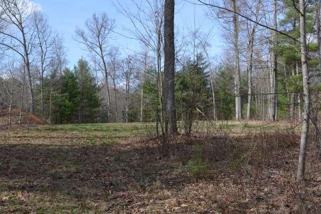 204 Brush Road Lewisburg, WV 24901 - Photo 49 of 60 Gallery Image 49