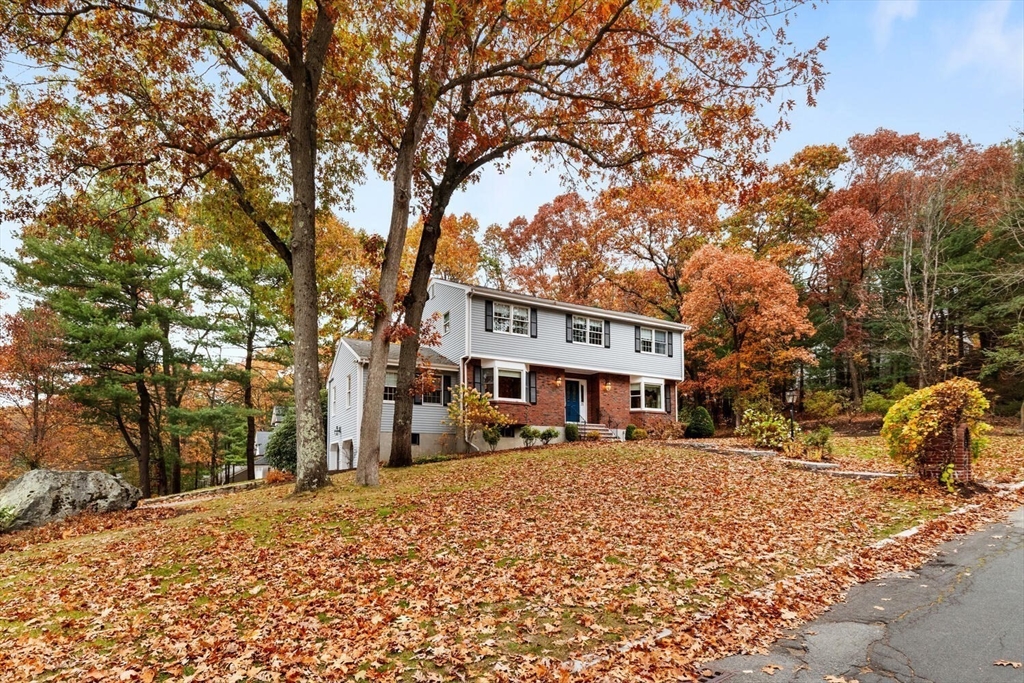 31 Girard Road Winchester, MA 01890 - Photo 3 of 38 a street view with large trees