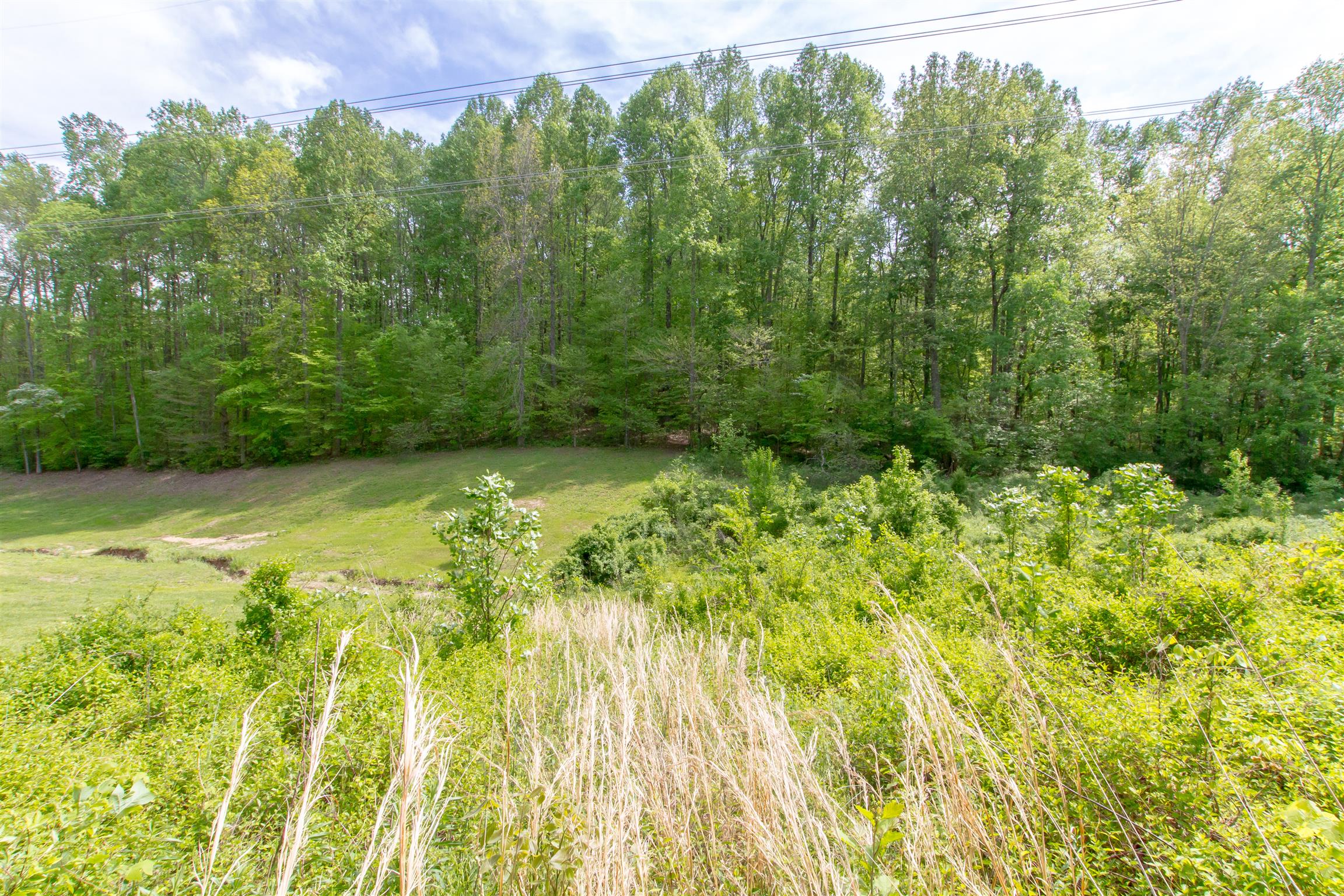 6353 Morton Road Greenbrier, TN 37073 - Photo 30 of 30 a view of a big yard with large trees