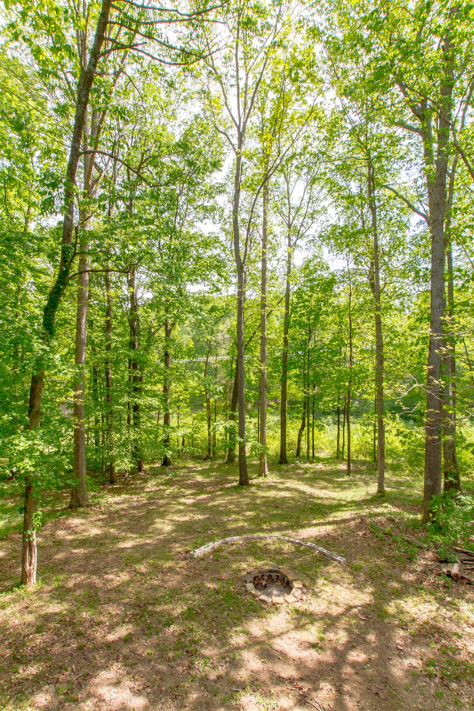 6353 Morton Road Greenbrier, TN 37073 - Photo 10 of 30 a view of swimming pool with a trees