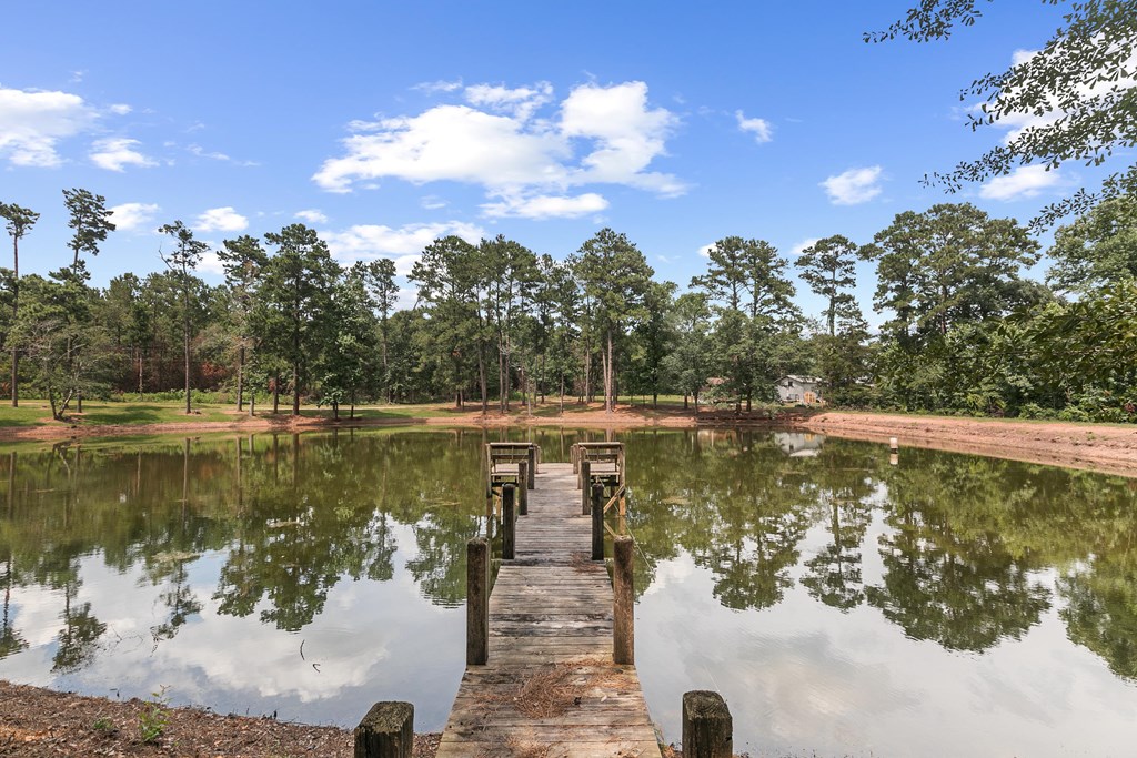 6850 North Co Road Columbia, AL 36319 - Photo 7 of 81