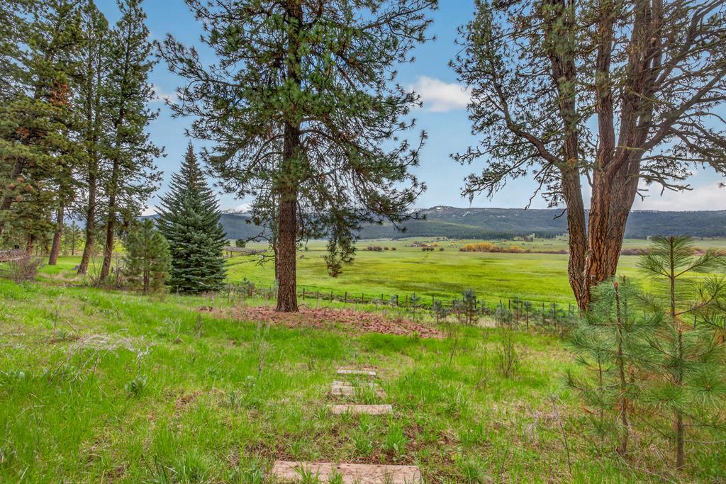 3880 Hot Springs Road New Meadows, ID 83654 - Photo 37 of 41 valley and mountain view