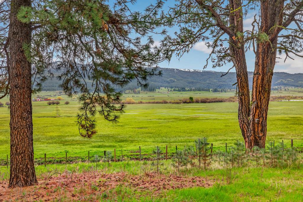 3880 Hot Springs Road New Meadows, ID 83654 - Photo 39 of 41 view meadows valley