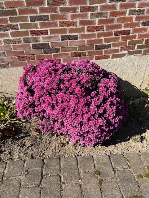 68 Canning Street Cumberland, RI 02864 - Photo 23 of 25