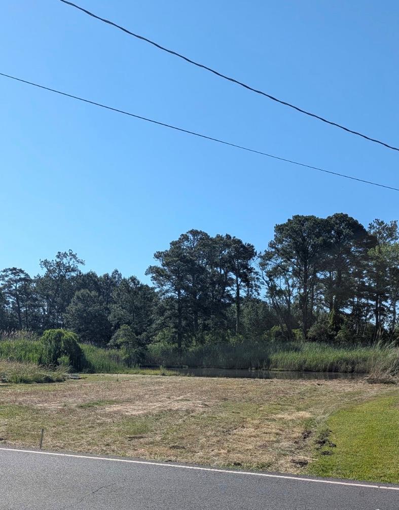 Lot 76 Main Street, Unit 76 Melfa, VA 23410 - Photo 1 of 8