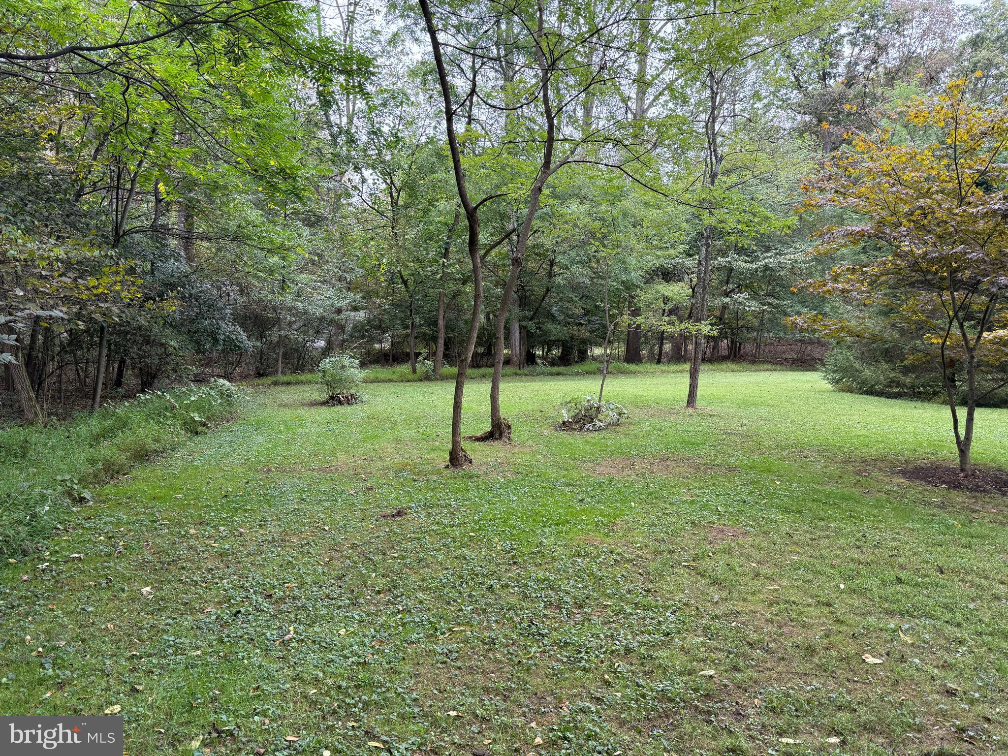 9969 Circle Drive St. Thomas, PA 17252 - Photo 11 of 81 a view of a tree in a yard
