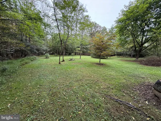 a view of outdoor space and trees
