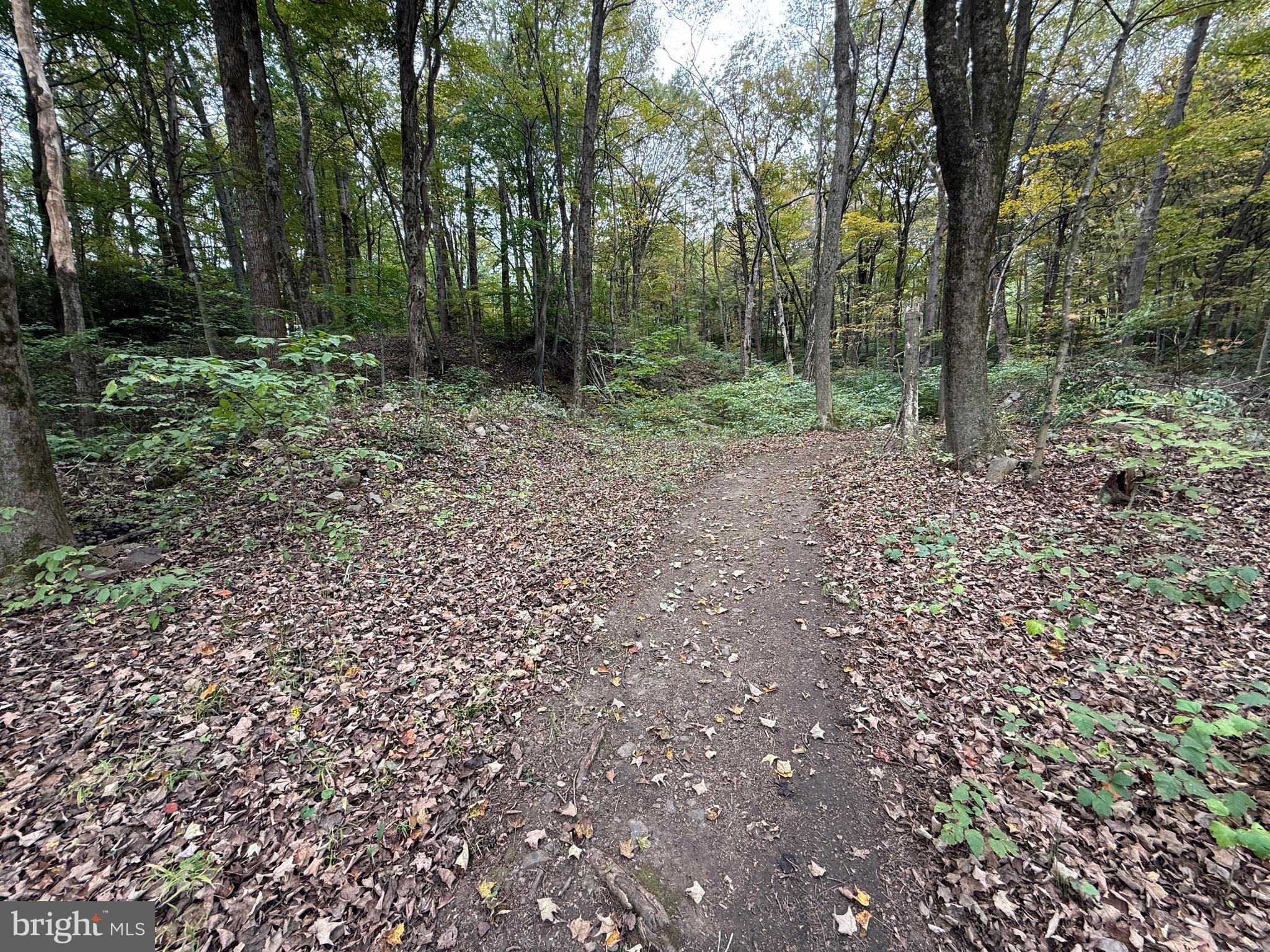 9969 Circle Drive St. Thomas, PA 17252 - Photo 13 of 81 a view of outdoor space and green space