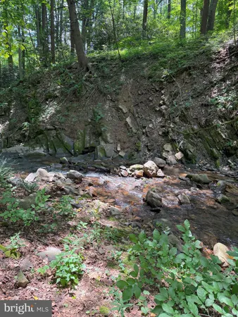 a view of house with outdoor space and trees in the background