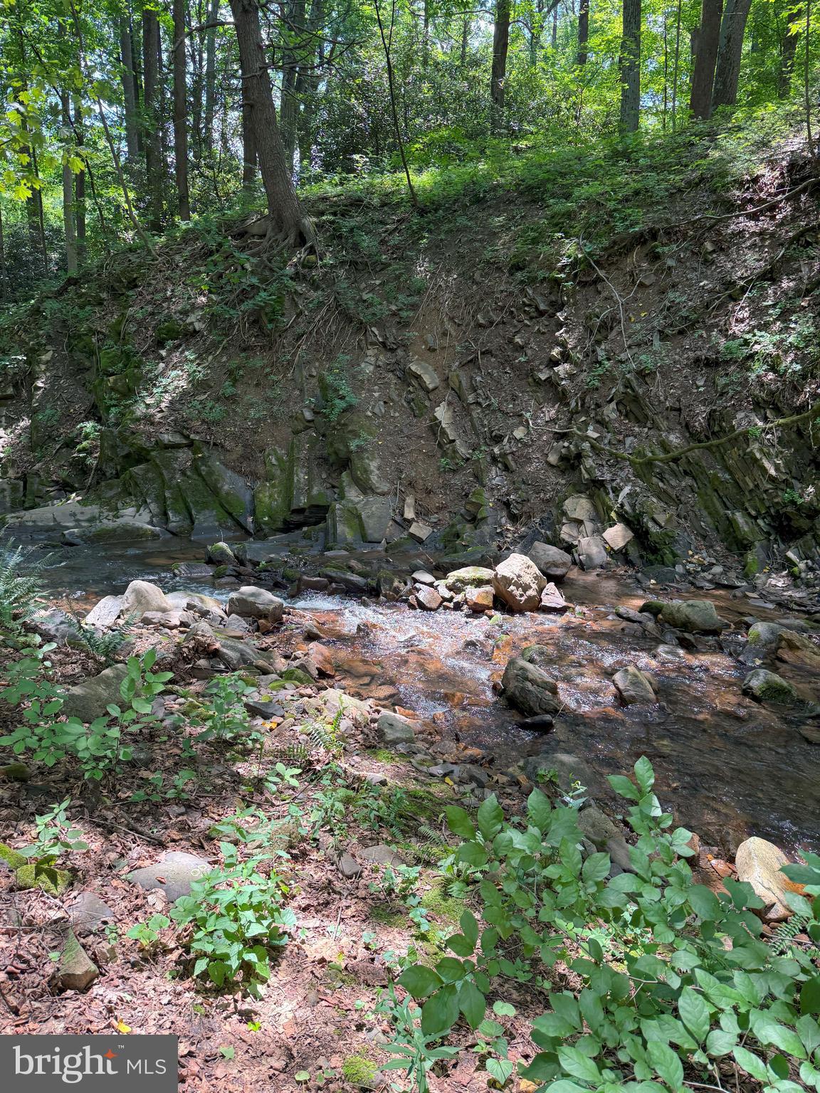 9969 Circle Drive St. Thomas, PA 17252 - Photo 17 of 81 a view of outdoor space and trees