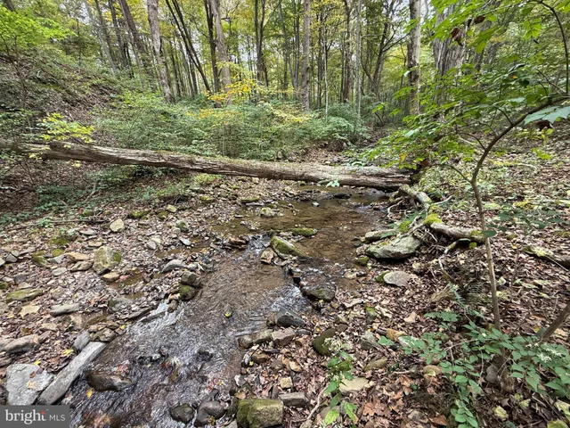 a front view of residential houses with yard and trees