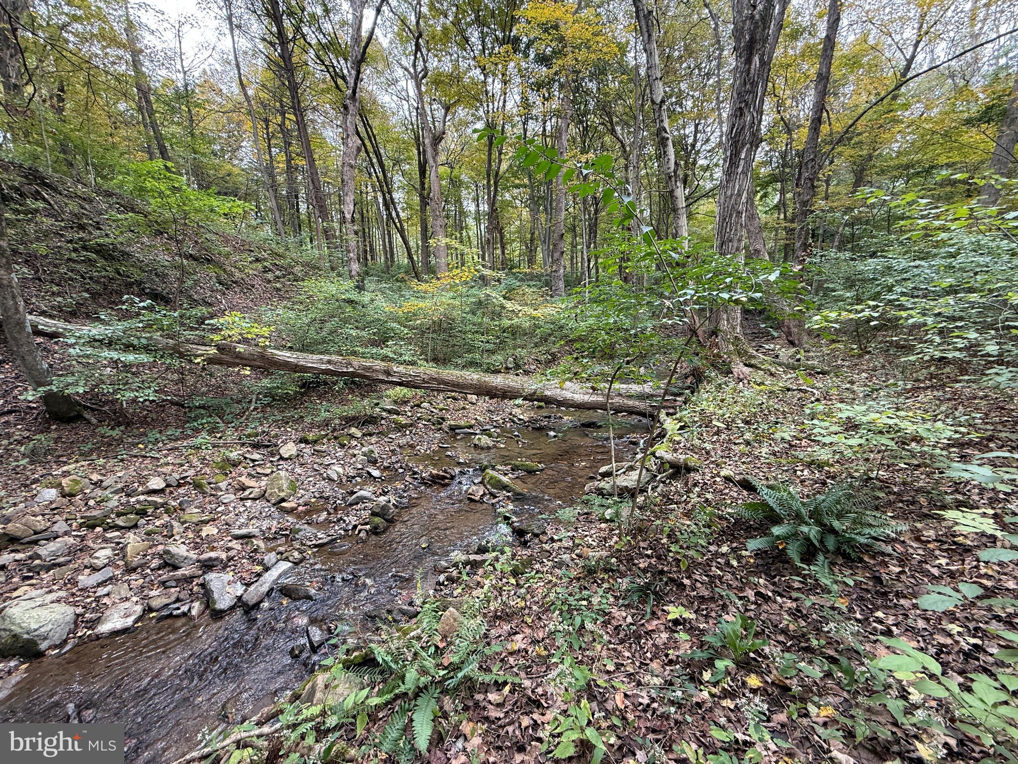 9969 Circle Drive St. Thomas, PA 17252 - Photo 19 of 81