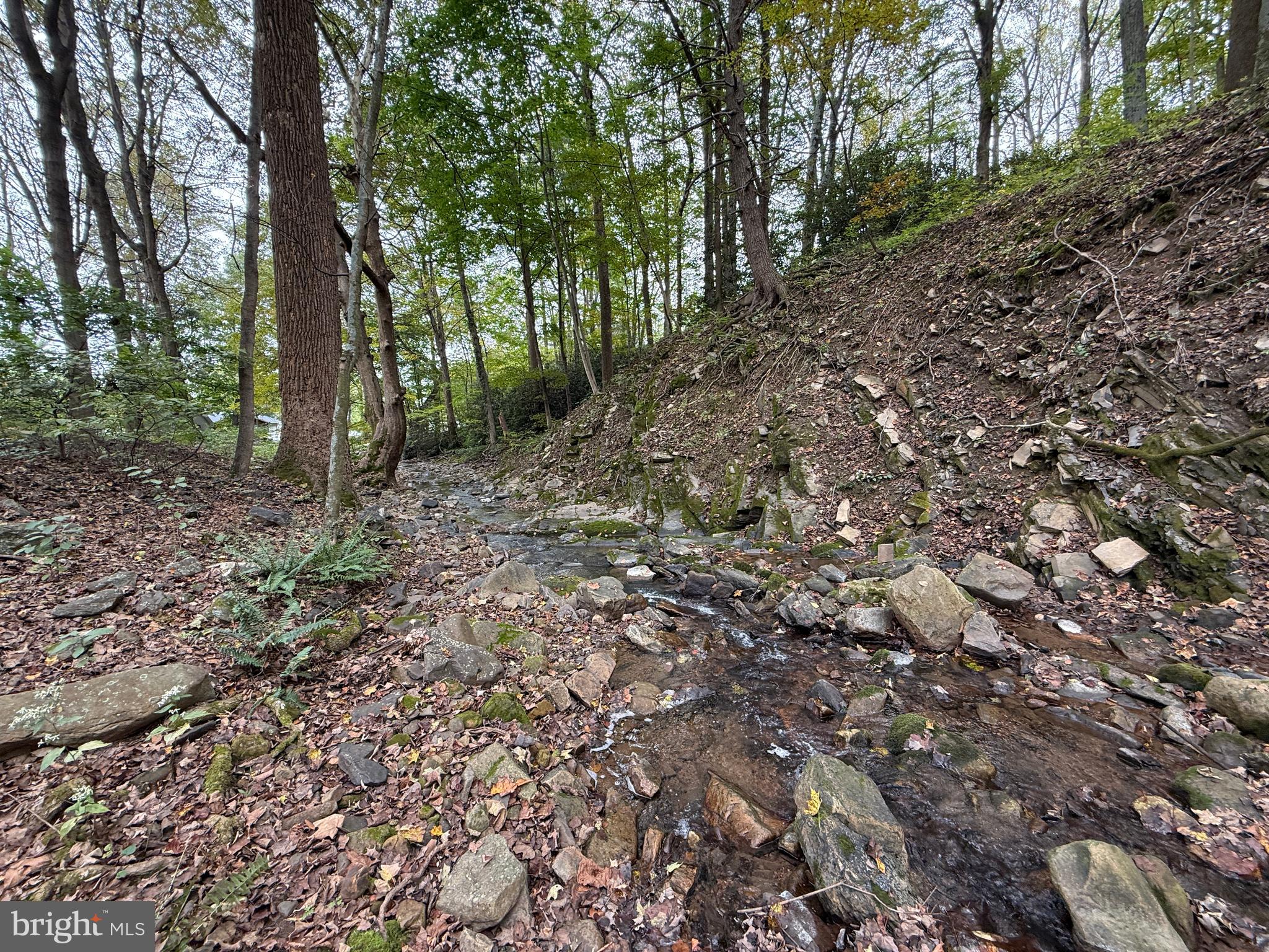 9969 Circle Drive St. Thomas, PA 17252 - Photo 21 of 81 a view of a forest with trees