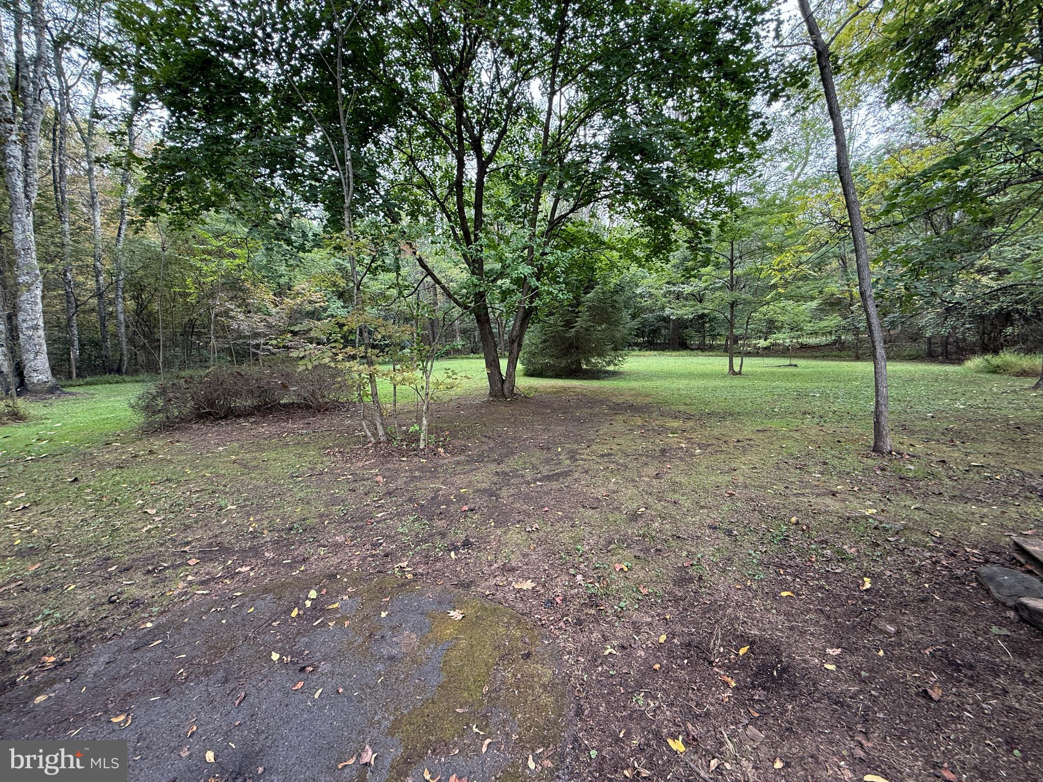 9969 Circle Drive St. Thomas, PA 17252 - Photo 27 of 81 a view of a yard with a tree