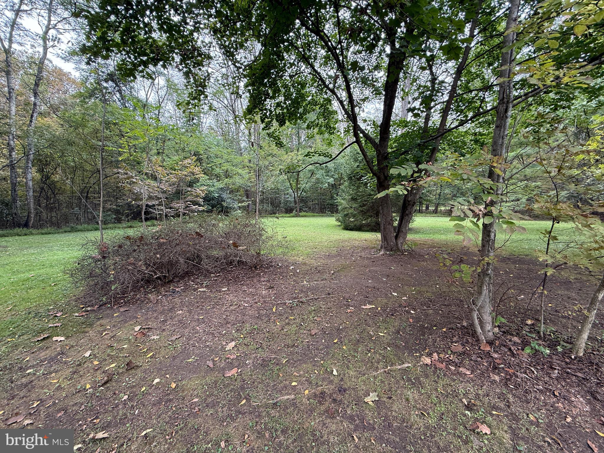 9969 Circle Drive St. Thomas, PA 17252 - Photo 28 of 81 a view of a yard with a tree