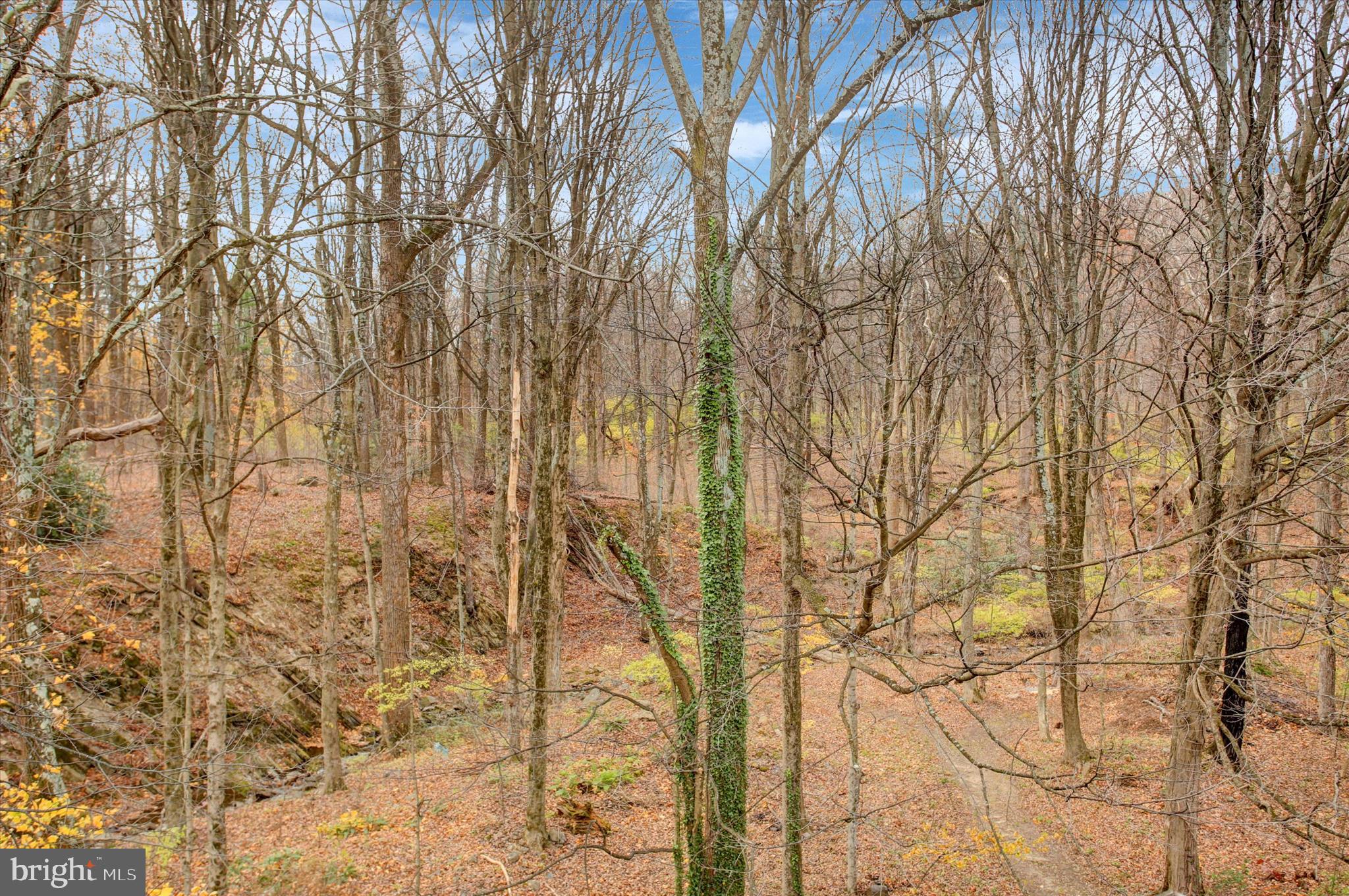 9969 Circle Drive St. Thomas, PA 17252 - Photo 64 of 81 a backyard of a house with lots of green space