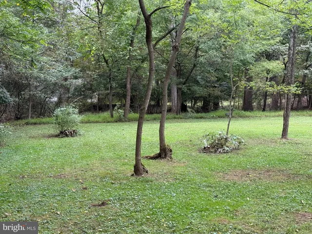 a view of outdoor space and green space