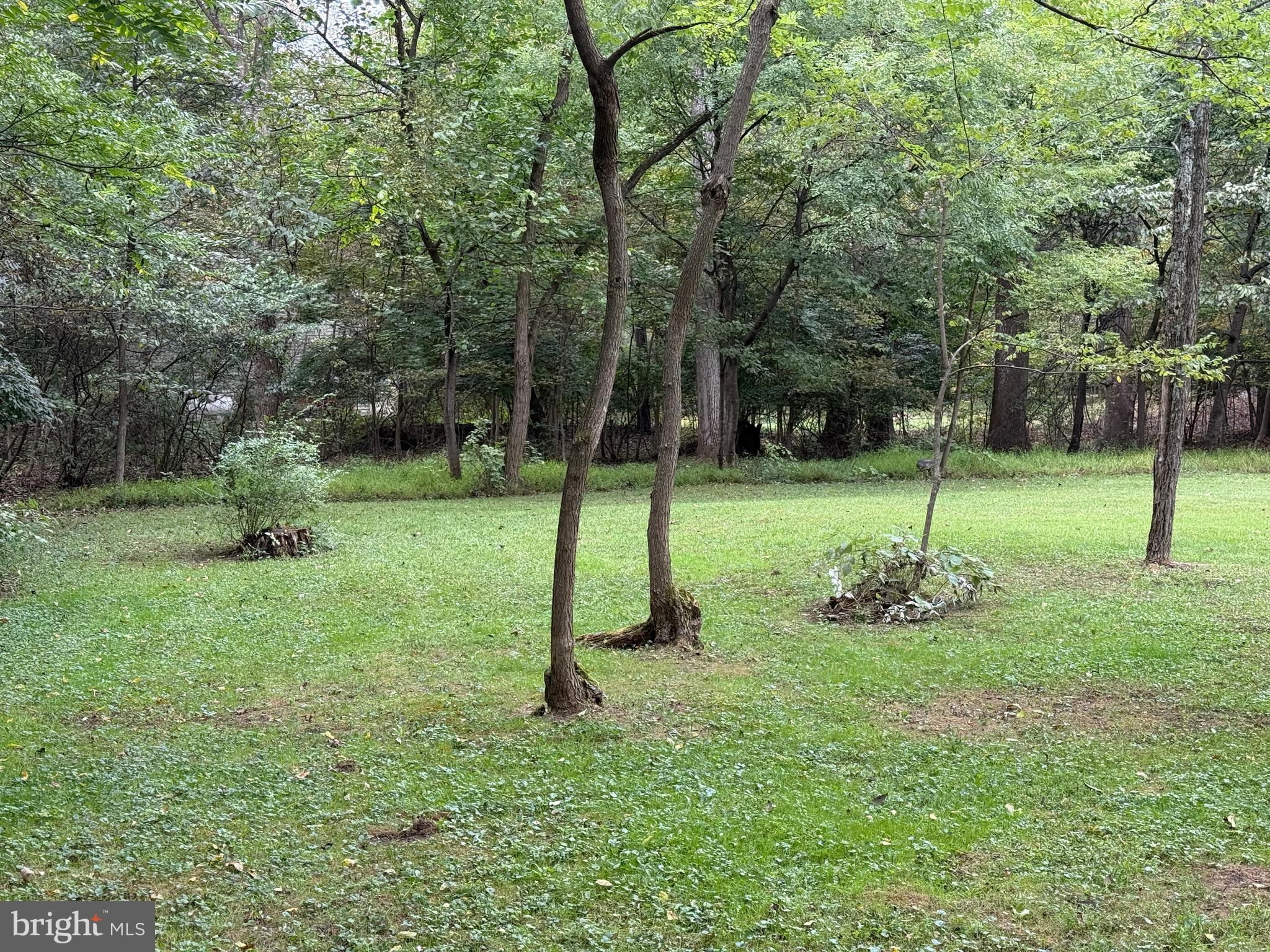 9969 Circle Drive St. Thomas, PA 17252 - Photo 10 of 81