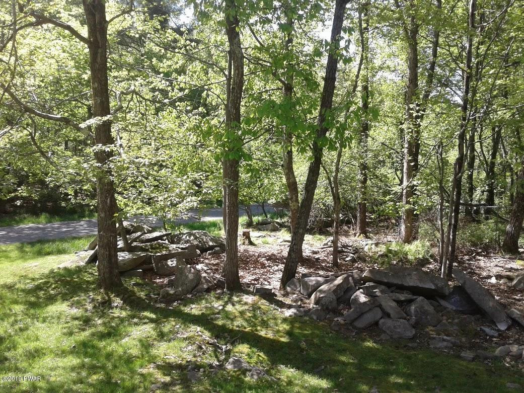 176 Heather Hill Road Dingmans Ferry, PA 18328 - Photo 30 of 32 a view of outdoor space and trees