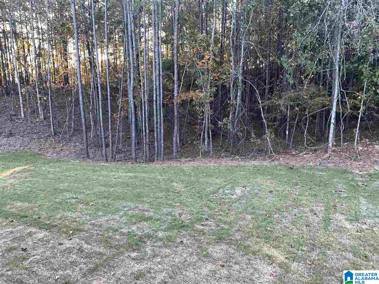 809 Grey Oaks Cove Pelham, AL 35124 - Photo 34 of 34