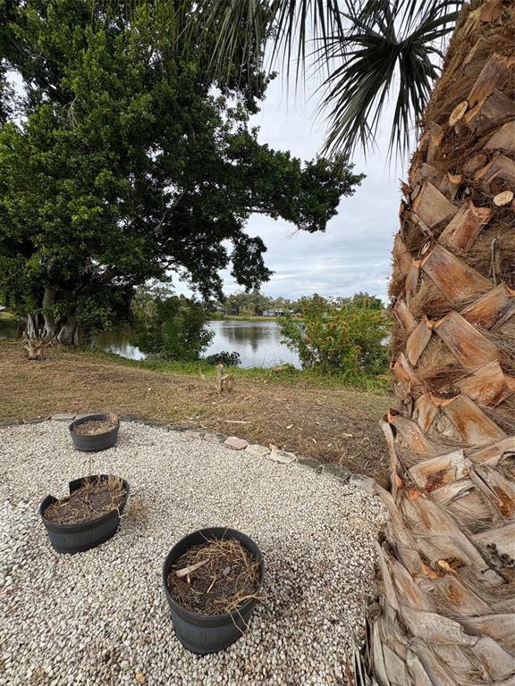 947 Shasta Road Venice, FL 34293 - Photo 9 of 52 a view of a backyard of a house