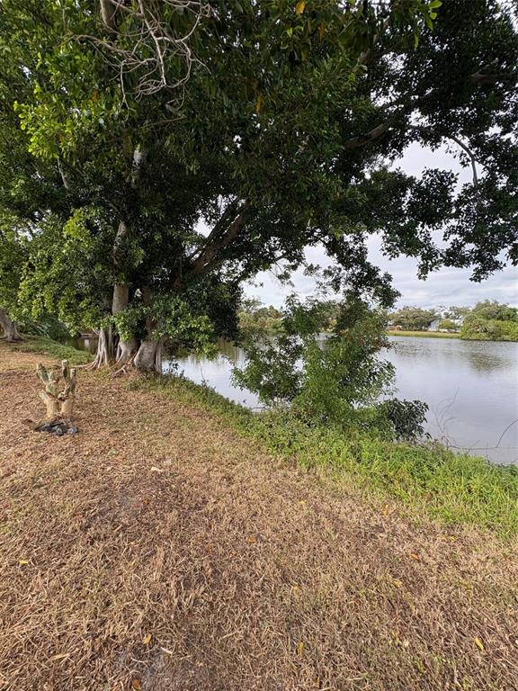 947 Shasta Road Venice, FL 34293 - Photo 10 of 52 a view of a yard with a tree