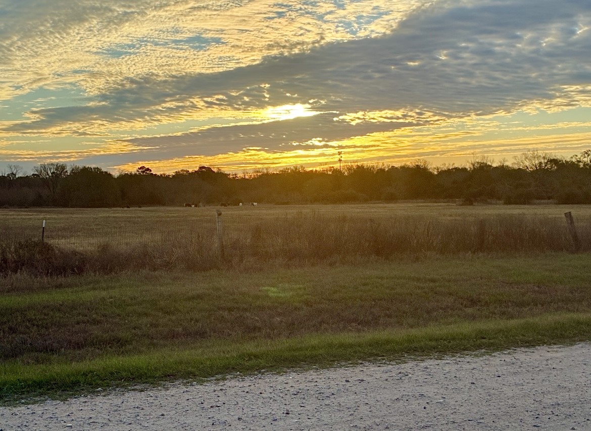 1523 22nd Street Hempstead, TX 77445 - Photo 26 of 26 Stunning sunset views over the surrounding countryside offer the perfect backdrop for relaxing evenings.