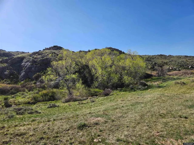 $99,000 | 17 Buffalo Trail Ranch, Wheatland, WY 82201