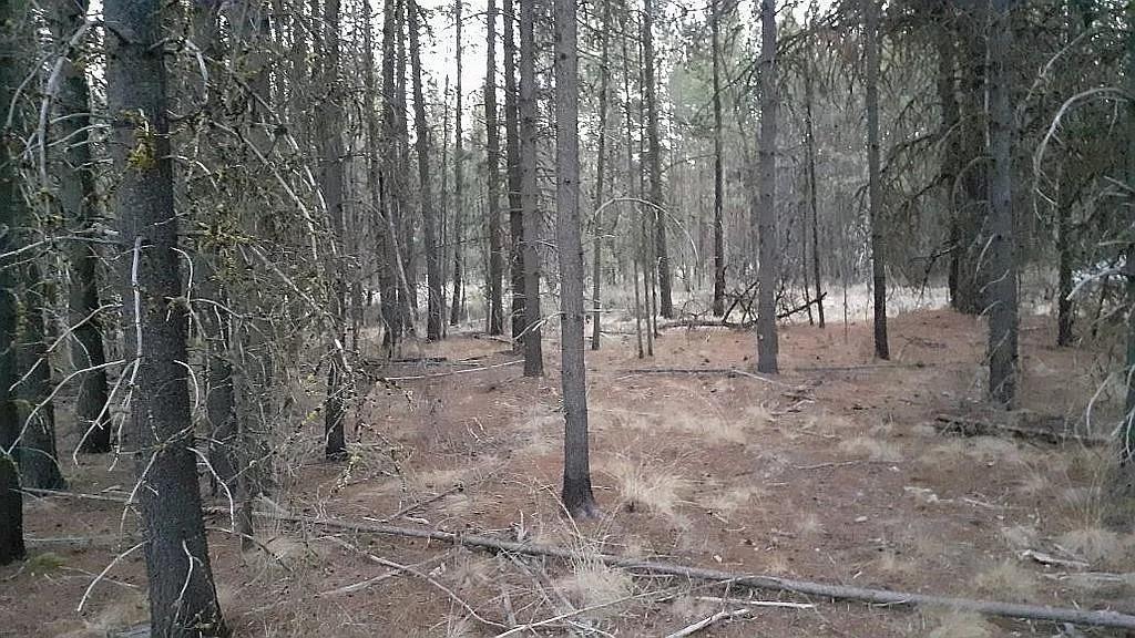 Fox Lane Bend, OR 97707 - Photo 6 of 12 7