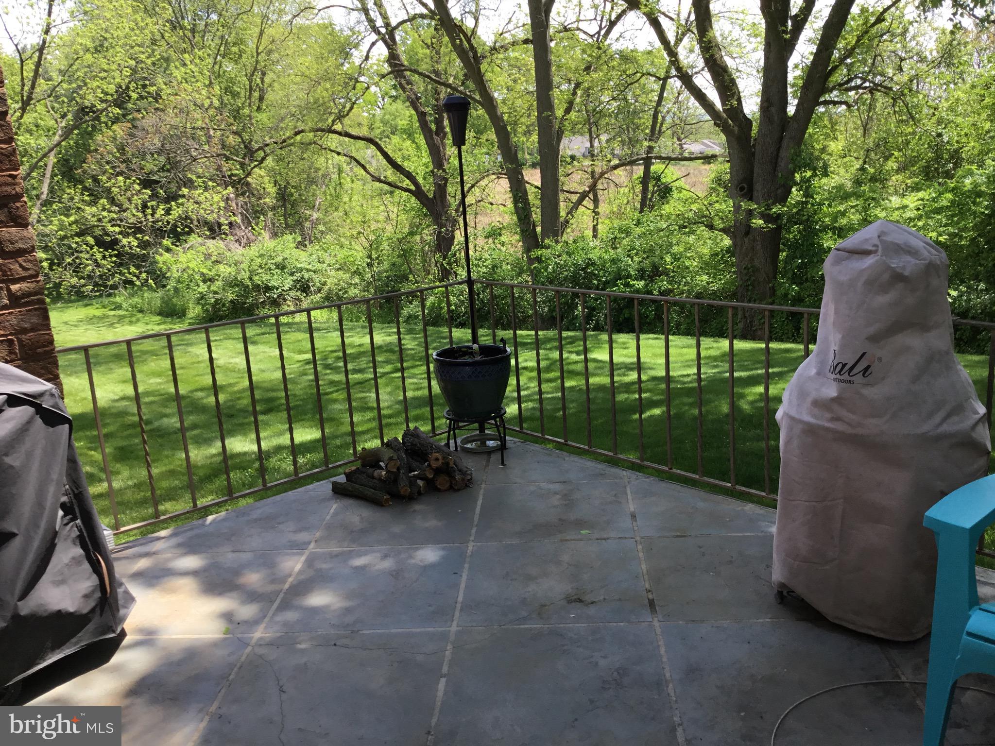 19607 Spring Creek Road Hagerstown, MD 21742 - Photo 23 of 54 Patio great yard